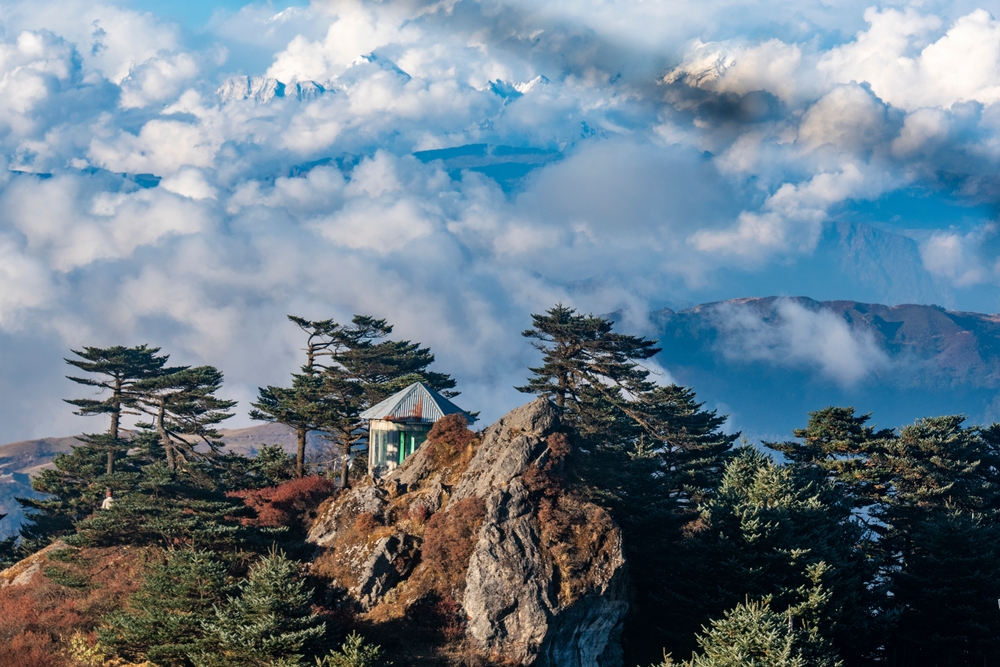 Sandakphu Trek Cost – Complete Budget Breakdown & Tips