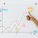 Business Growth Consultancy